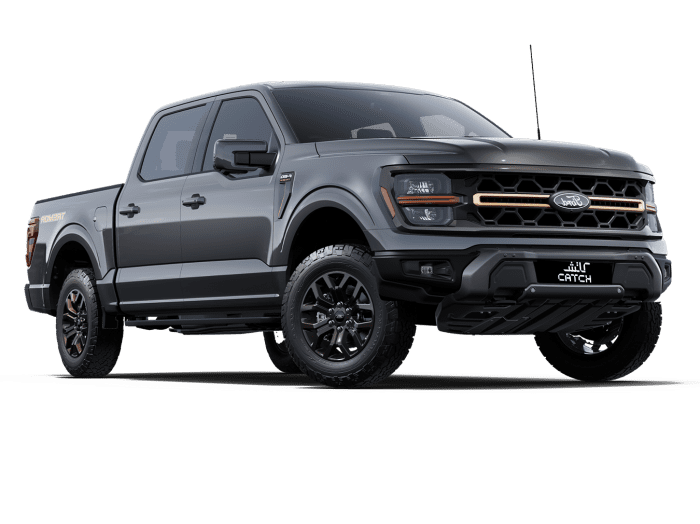 فورد تريمور F-150