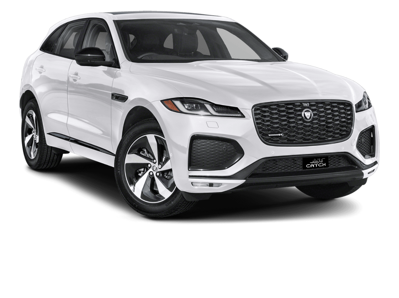 ARB_0004_Jaguar-Fpace