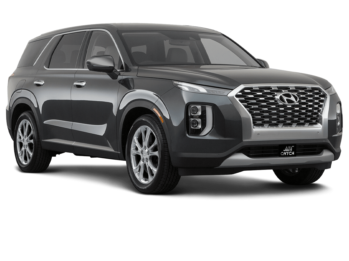 ARB_0035_Palisade-hyundai