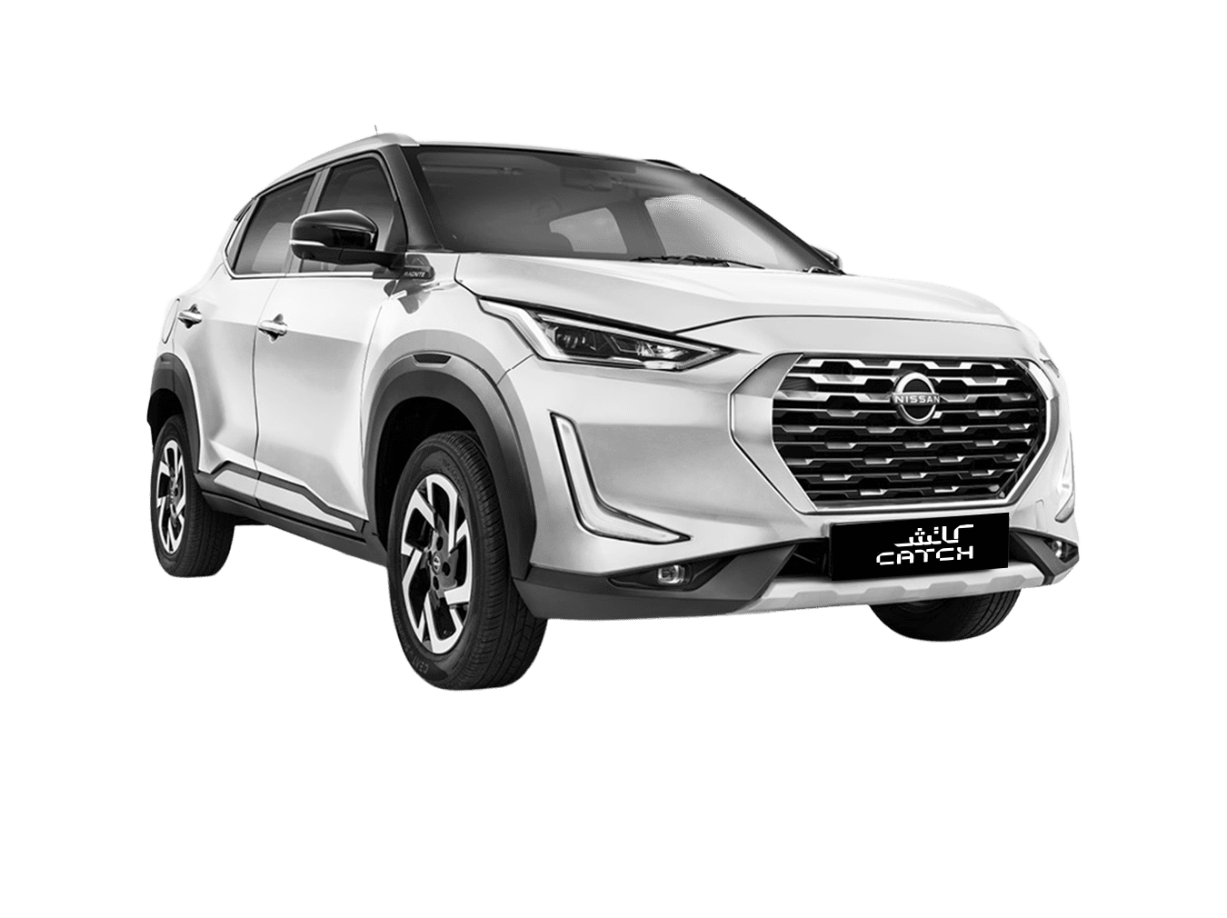 ARB_0068_Nissan-Magnit