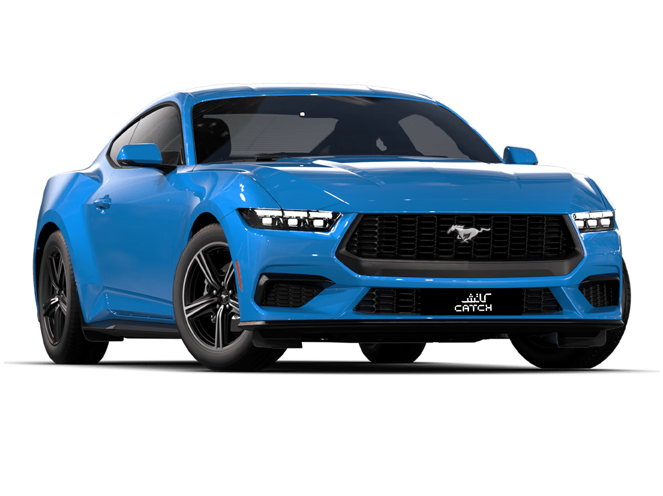 ARB_0075_Mustang-2025—Copie