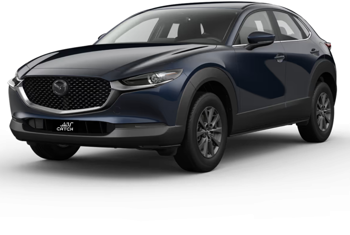 CX-30